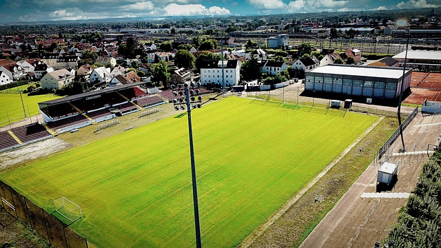 的体育强国 的体育强国