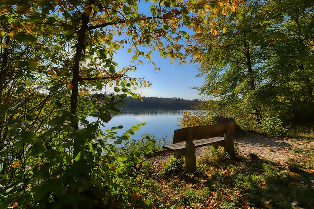 进行深度反 进行深度反